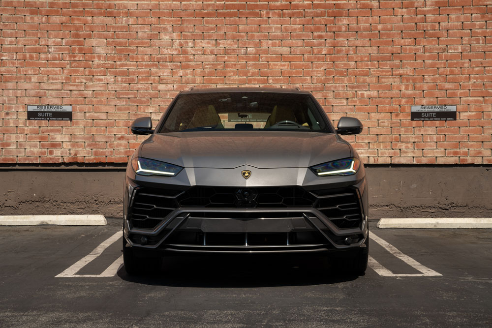 grey-urus-23