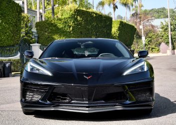 Stingray-FT